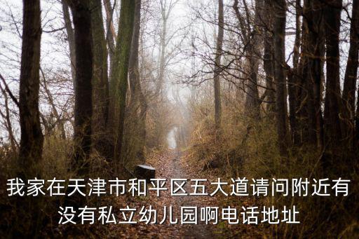 我家在天津市和平區五大道請問附近有沒有私立幼兒園啊電話地址