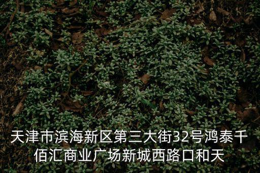 天津市濱海新區第三大街32號鴻泰千佰匯商業廣場新城西路口和天