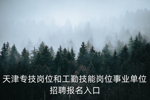 天津專技崗位和工勤技能崗位事業單位招聘報名入口