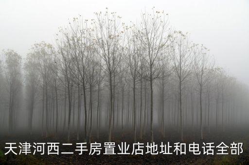天津市森淼二手房，去天津市河西區平山道森淼公寓從哪站下最近