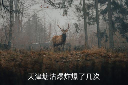 天津塘沽爆炸爆了幾次