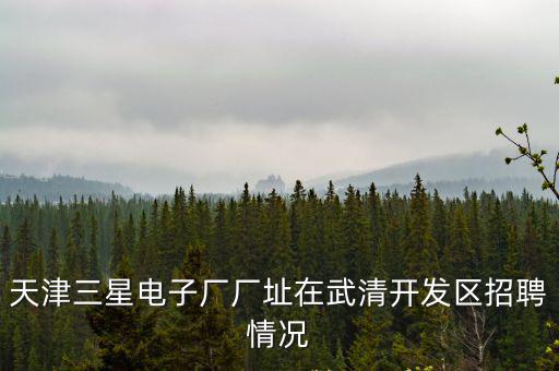 天津三星電子廠廠址在武清開發區招聘情況