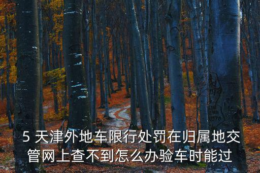  5 天津外地車限行處罰在歸屬地交管網上查不到怎么辦驗車時能過