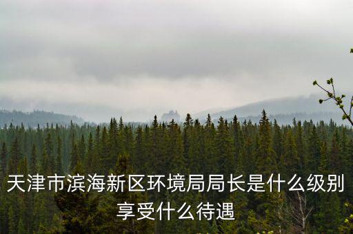 天津市濱海新區環境局局長是什么級別享受什么待遇