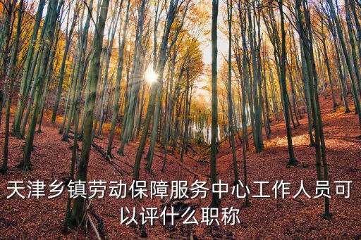 天津市衛(wèi)生級職稱目錄，天津鄉(xiāng)鎮(zhèn)勞動保障服務(wù)中心工作人員可以評什么職稱