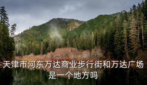 天津市河東萬達商業步行街和萬達廣場是一個地方嗎