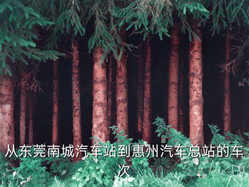 東莞南城客戶站到惠州，從東莞南城車站坐車到惠州汽車站車費要多少