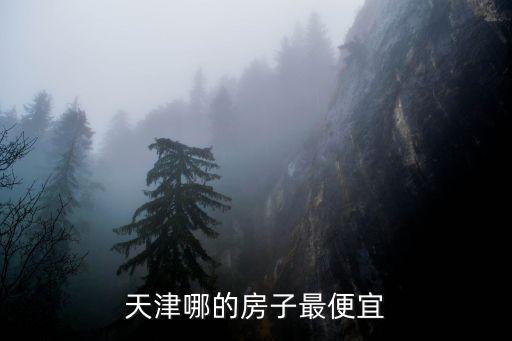 天津哪的房子最便宜