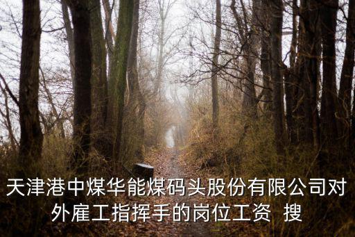 天津港中煤華能煤碼頭股份有限公司對外雇工指揮手的崗位工資  搜