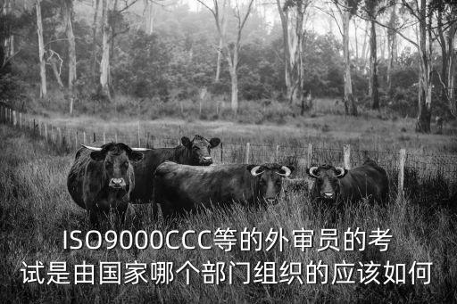 天津市體系外審員考試，什么是質量體系外審員考試