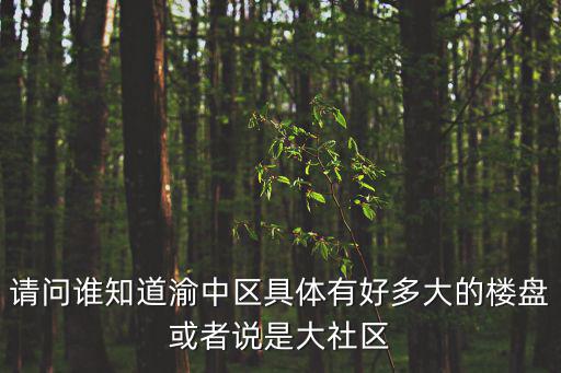 重慶市渝中區比較老的社區，渝中區老區府在較場口和平路的什么位置啊