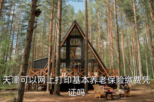 天津可以網上打印基本養老保險繳費憑證嗎