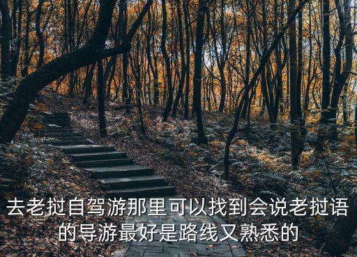 去老撾自駕游那里可以找到會說老撾語的導游最好是路線又熟悉的