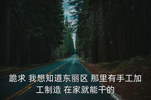 跪求 我想知道東麗區 那里有手工加工制造 在家就能干的