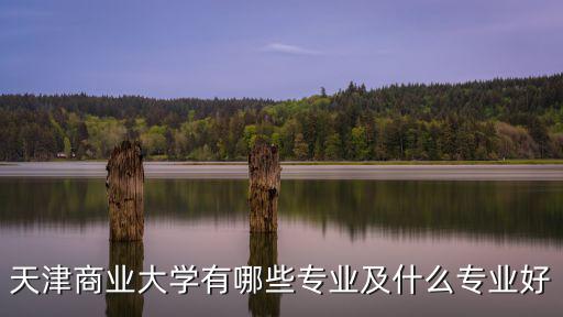 天津商業大學有哪些專業及什么專業好
