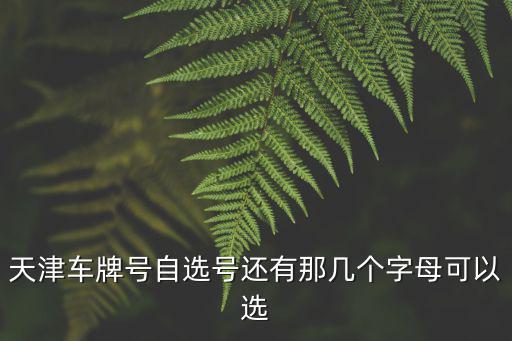 天津車牌號自選號還有那幾個字母可以選