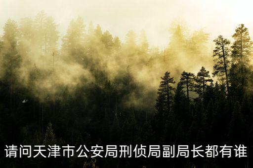 請問天津市公安局刑偵局副局長都有誰