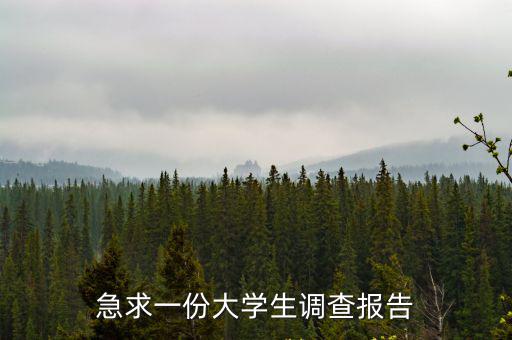 急求一份大學生調查報告