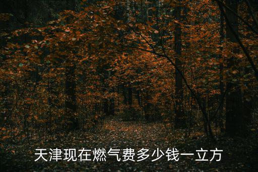 天津現在燃氣費多少錢一立方
