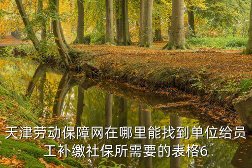 天津勞動保障網在哪里能找到單位給員工補繳社保所需要的表格6