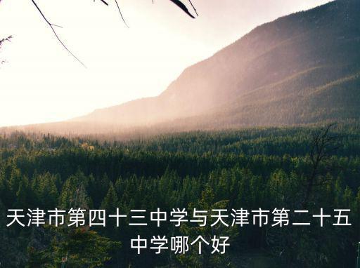 天津市第四十三中學與天津市第二十五中學哪個好