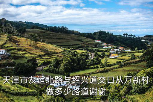 天津市友誼北路與紹興道交口從萬新村做多少路道謝謝