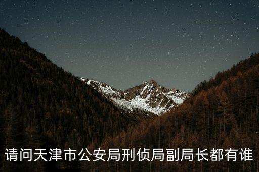 請問天津市公安局刑偵局副局長都有誰