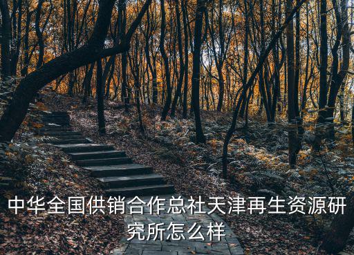 中華全國供銷合作總社天津再生資源研究所怎么樣