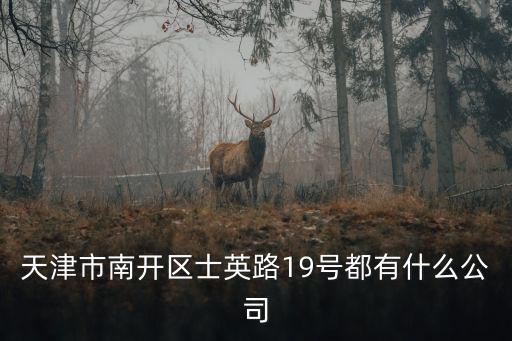 天津市南開區士英路19號都有什么公司
