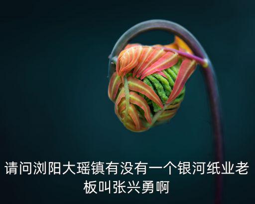 天津市星河紙業破產，陸良銀河紙業有限公司現在是什么情況