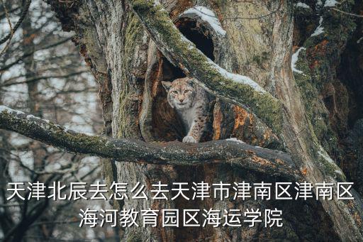 天津市水運招標技術標準目錄，水工清單定額