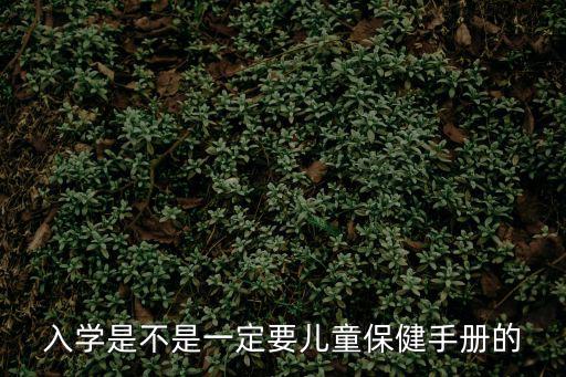 入學(xué)是不是一定要兒童保健手冊的