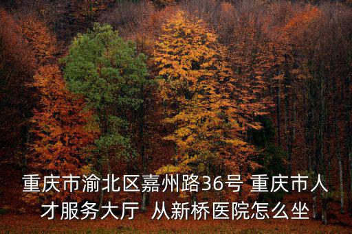 重慶市人才嘉州路，朝天門汽車站到渝北區加州花園嘉州路36號重慶市人才服務大廳坐幾路