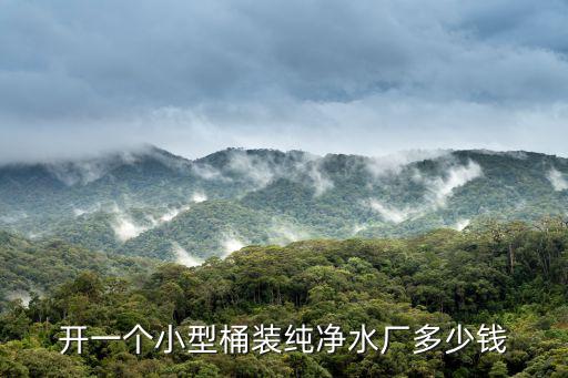 成都市霧中泉桶裝水廠，開一個小型桶裝純凈水廠多少錢
