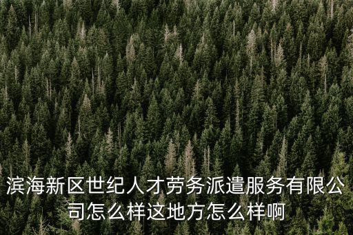 濱海新區(qū)世紀(jì)人才勞務(wù)派遣服務(wù)有限公司怎么樣這地方怎么樣啊