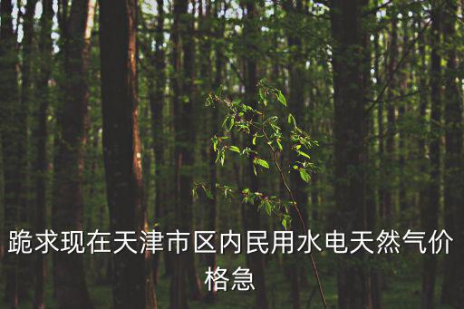 天津市天然氣價(jià)格漲多少錢，天津現(xiàn)在燃?xì)赓M(fèi)多少錢一立方