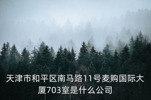 天津市中澳實(shí)業(yè)，天津市和平區(qū)南馬路11號(hào)麥購國際大廈703室是什么公司