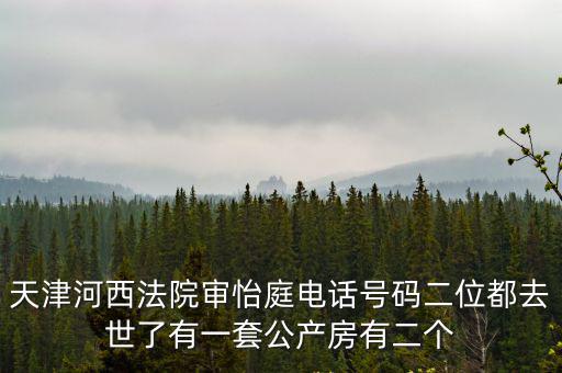 天津河西法院審怡庭電話號碼二位都去世了有一套公產(chǎn)房有二個