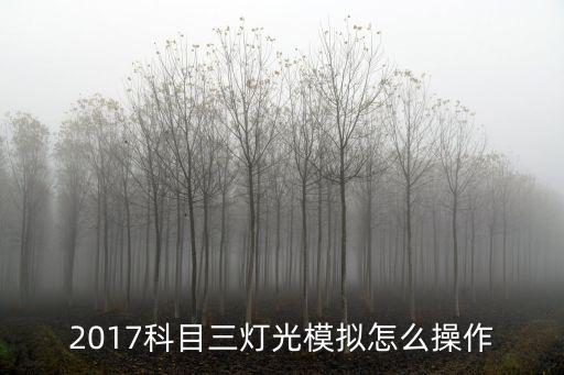 天津市科三燈光模擬軟件，科目三路考燈光模擬現(xiàn)在燈光是遠(yuǎn)光然后電腦報(bào)出把燈光變換給