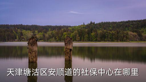 天津塘沽區(qū)安順道的社保中心在哪里