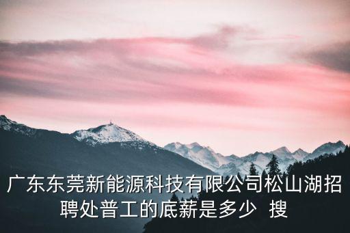 廣東東莞新能源科技有限公司松山湖招聘處普工的底薪是多少  搜