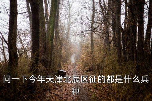 問一下今年天津北辰區(qū)征的都是什么兵種