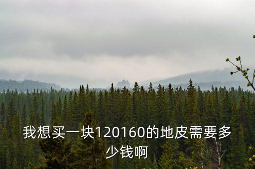我想買一塊120160的地皮需要多少錢啊