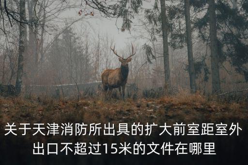 關于天津消防所出具的擴大前室距室外出口不超過15米的文件在哪里