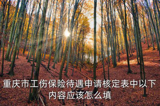 重慶市工傷保險待遇申請核定表中以下內容應該怎么填