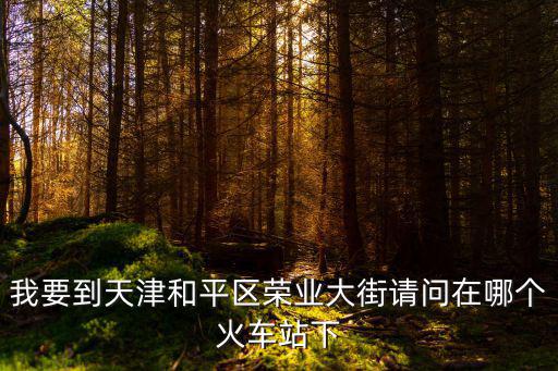 我要到天津和平區榮業大街請問在哪個火車站下