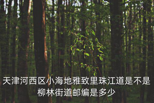 天津河西區小海地雅致里珠江道是不是柳林街道郵編是多少
