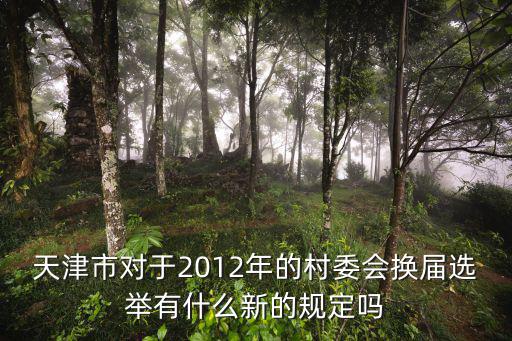 天津市村級組織換屆 十不準，天津市最新村委會換屆選舉法