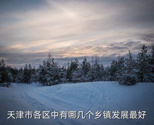 天津市各區中有哪幾個鄉鎮發展最好