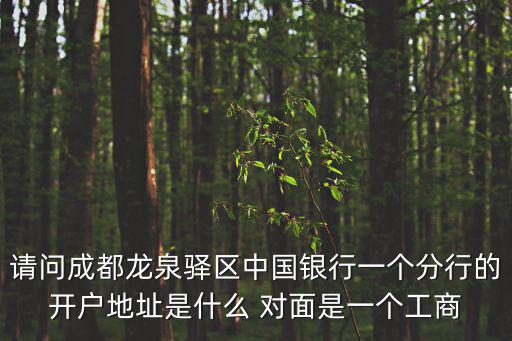 請問成都龍泉驛區中國銀行一個分行的開戶地址是什么 對面是一個工商
